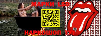 шишки Тара