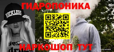 шишки Тара