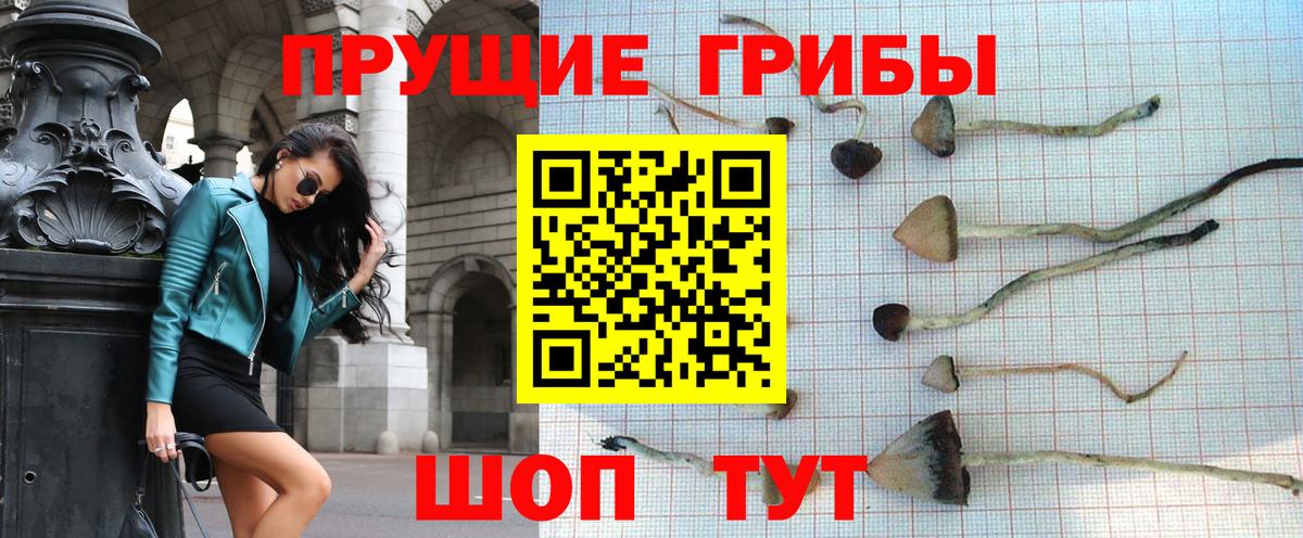Псилоцибиновые грибы MAGIC MUSHROOMS Новочеркасск